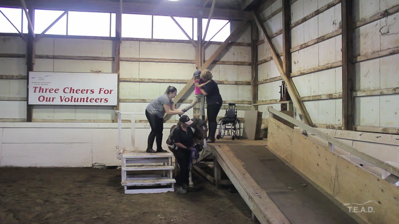 T.E.A.D. Equestrian Association for the Disabled