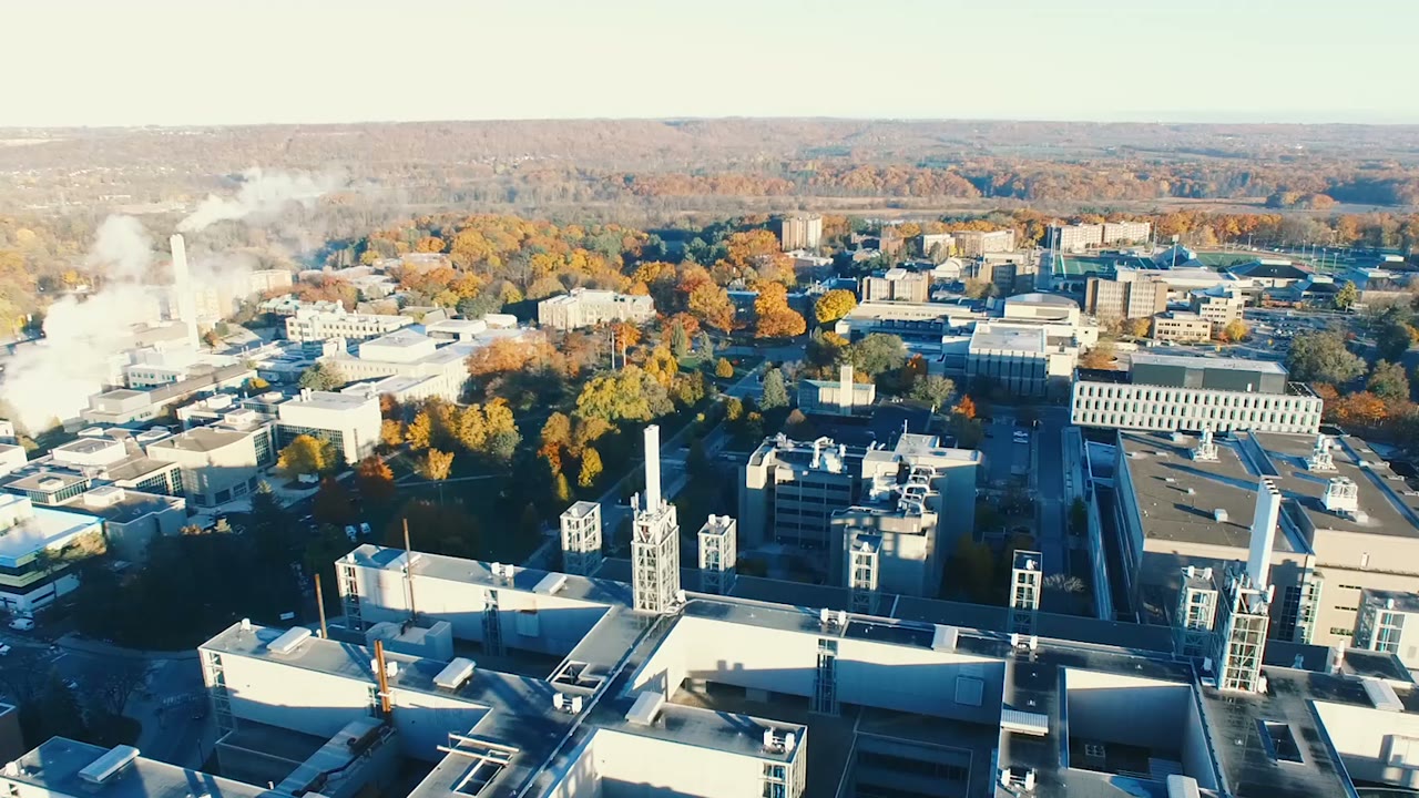 Recruitment Video | Biomedical & Health Sciences Engineering Program | Client: McMaster University
