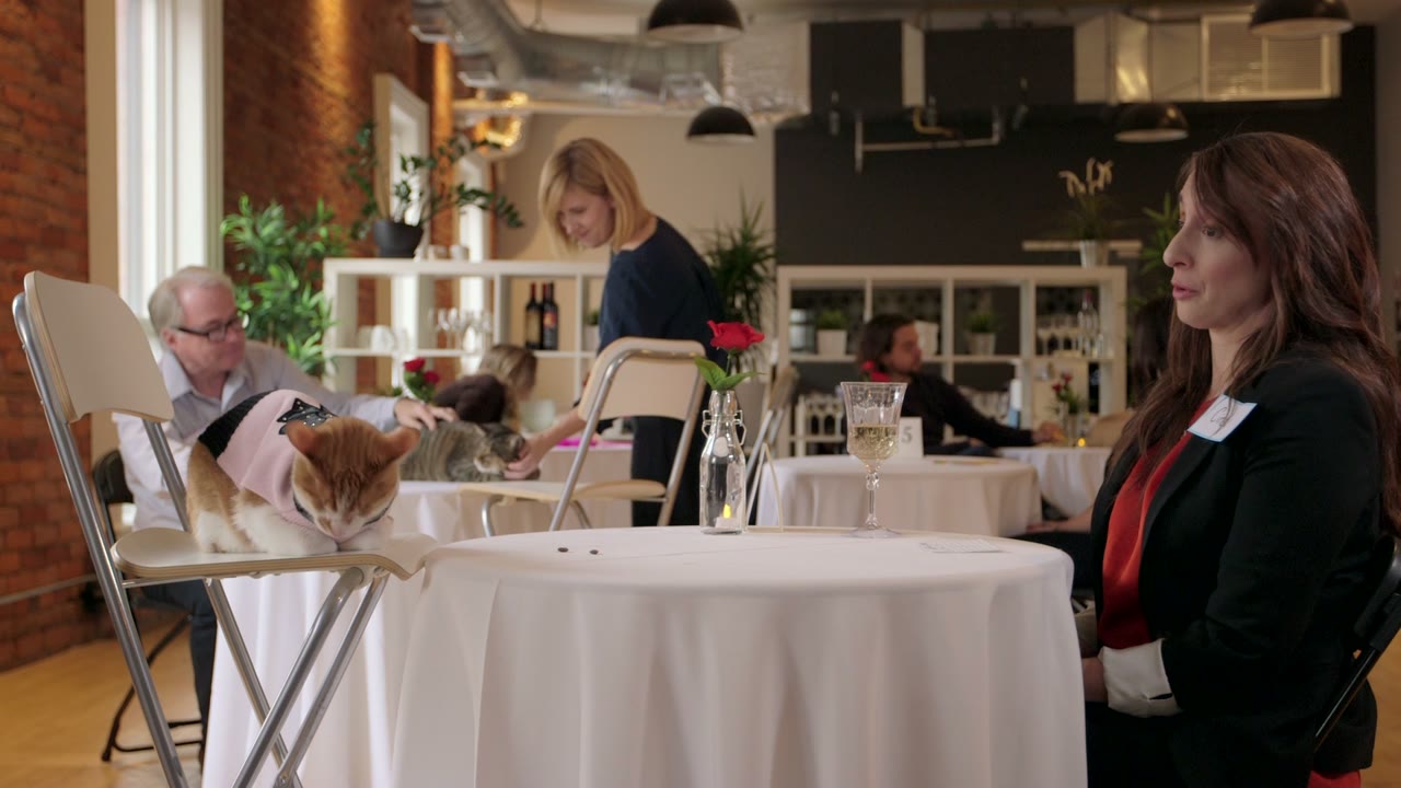 Commercial | "Meet Your Match" | Client: Hamilton-Burlington SPCA