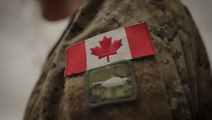 Chronic Pain Centre of Excellence for Canadian Veterans