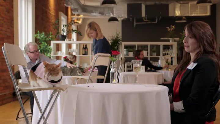 Commercial | "Meet Your Match" | Client: Hamilton-Burlington SPCA